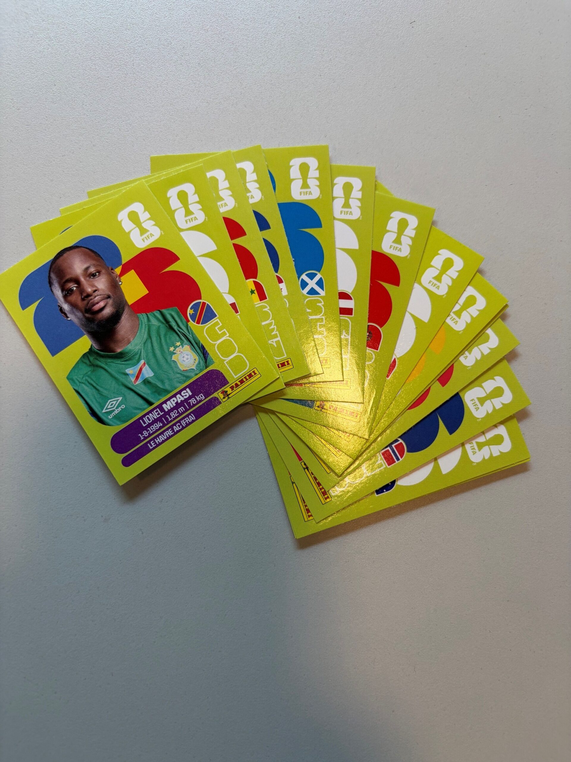 Panini2